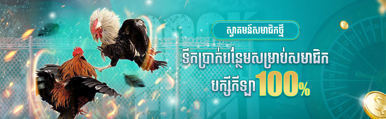 Promotion 4